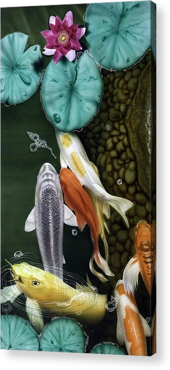 Koi Acrylic Print featuring the painting Coming Up Short by Dan Menta