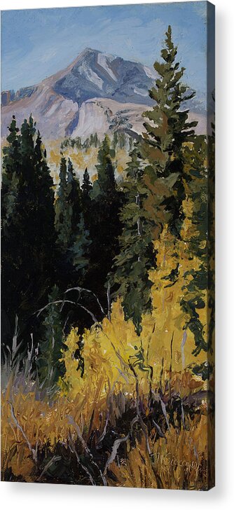 Landscape Acrylic Print featuring the painting Kebler Pass by Mary Giacomini