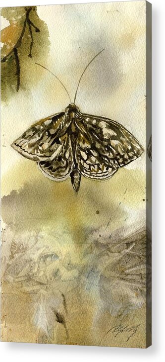Moth Acrylic Print featuring the painting Moth With Abstraction by Alfred Ng