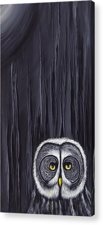 Child Acrylic Print featuring the painting Great Gray Owl by David Junod