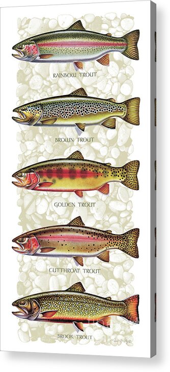 Five Trout Panel Acrylic Print featuring the painting Five Trout Panel by JQ Licensing