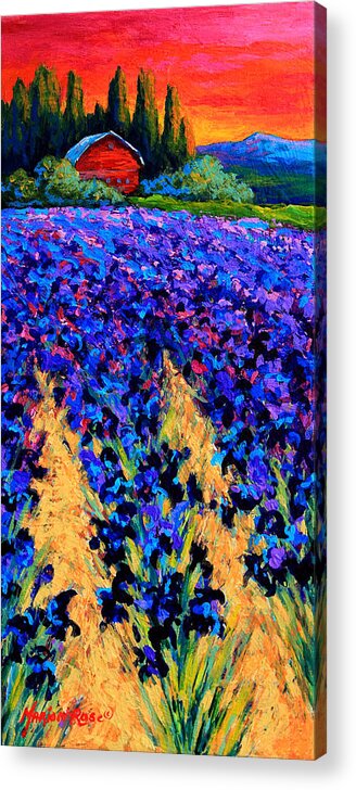 Floral Acrylic Print featuring the painting Iris Farm by Marion Rose