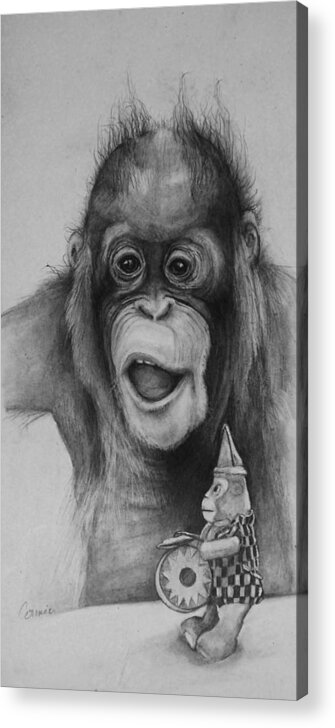 Primate Acrylic Print featuring the drawing Ive Always Wanted One of Those by Jean Cormier