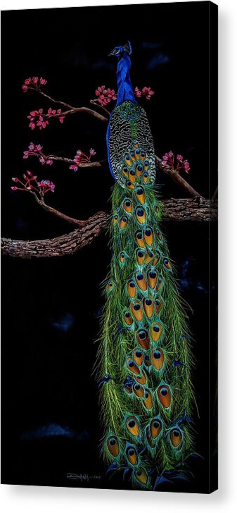 Birds Acrylic Print featuring the painting Royal Peacock by Dana Newman