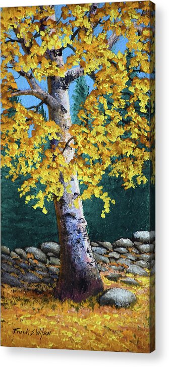 Birches Acrylic Print featuring the painting The Old Birch by Frank Wilson