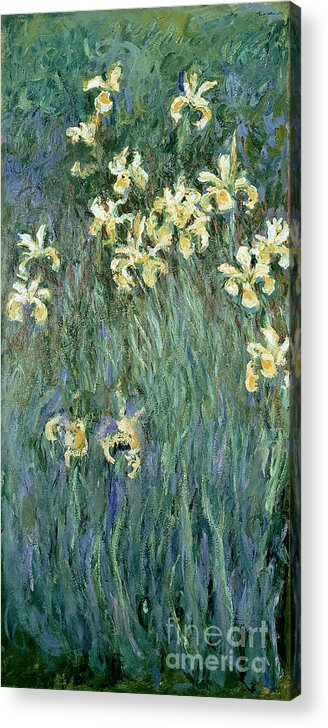 The Acrylic Print featuring the painting The Yellow Irises by Claude Monet