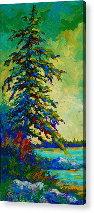 West Coastal Acrylic Print featuring the painting West Coast Sentinel by Marion Rose