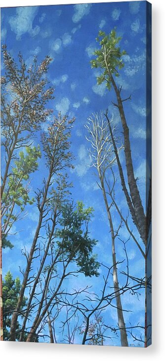 Trees Acrylic Print featuring the painting The Heights by Don Morgan