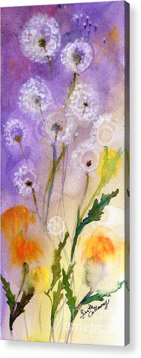 Dandelions Acrylic Print featuring the painting Dandelion Puff Balls Watercolor by Ginette Callaway