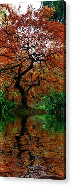Swamped Japanese Maple Acrylic Print featuring the photograph Swamped Japanese by Wes and Dotty Weber