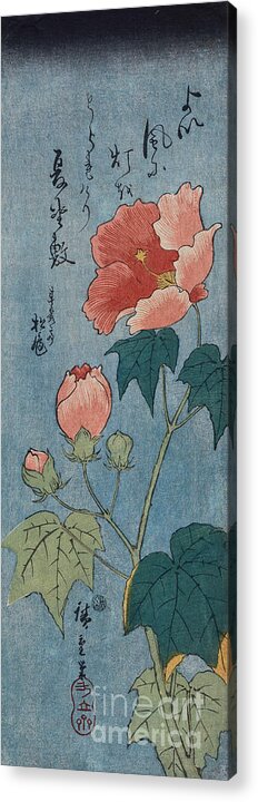 Japanese Acrylic Print featuring the painting Flowering Poppies Tanzaku by Ando Hiroshige