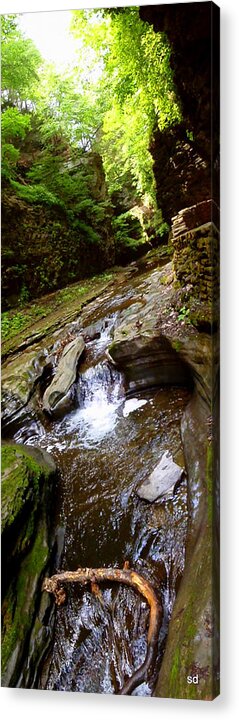 Stream Acrylic Print featuring the photograph Gentle Falls by Sarah Donald