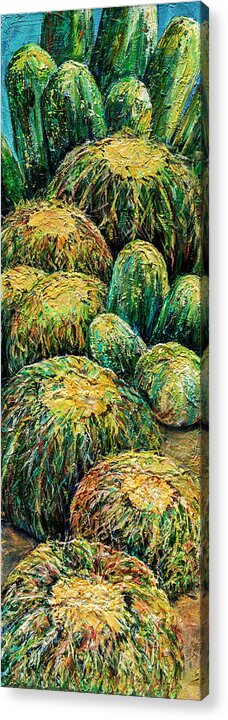 Cactus Acrylic Print featuring the painting Barrel Cactus #2 by Sally Quillin
