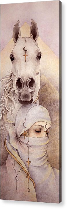 Arabian Horse Acrylic Print featuring the drawing Desert Angels by Johanna Pieterman