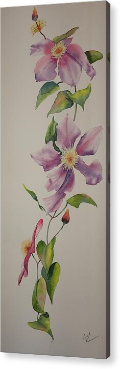 Clematis Acrylic Print featuring the painting Social Climber I by Ruth Kamenev