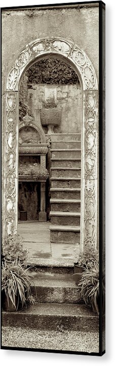 Photography Acrylic Print featuring the photograph Itv124 - Lombardy V by Alan Blaustein