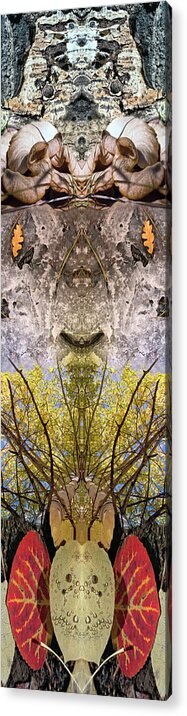 Split Personality Acrylic Print featuring the digital art Jackdaws Love My Big Sphinx by Becky Titus