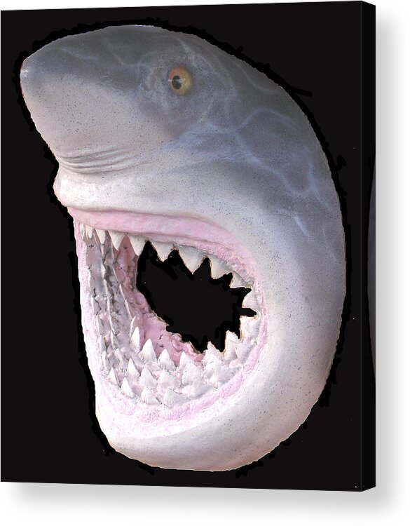 Shark Acrylic Print featuring the mixed media Mack the Shark by Dan Townsend