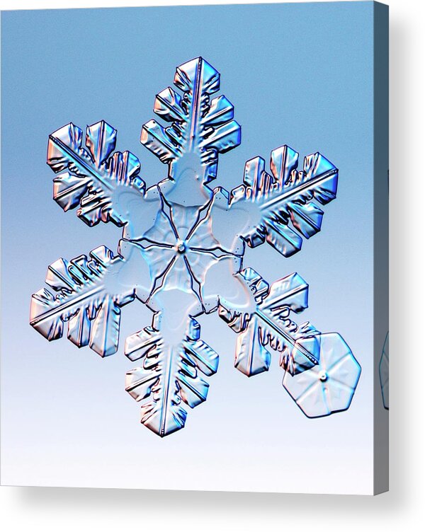 Snowflake Acrylic Print featuring the photograph Snowflake #22 by Kenneth Libbrecht/science Photo Library