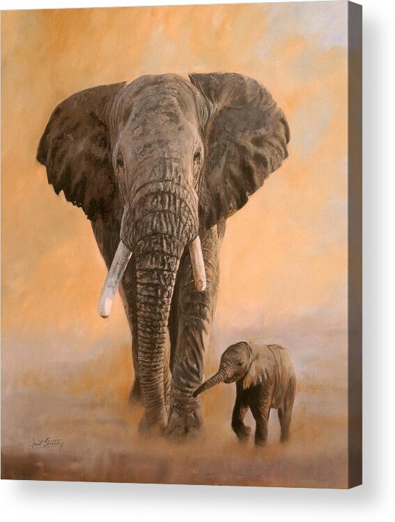 Elephant Acrylic Print featuring the painting African Elephants by David Stribbling