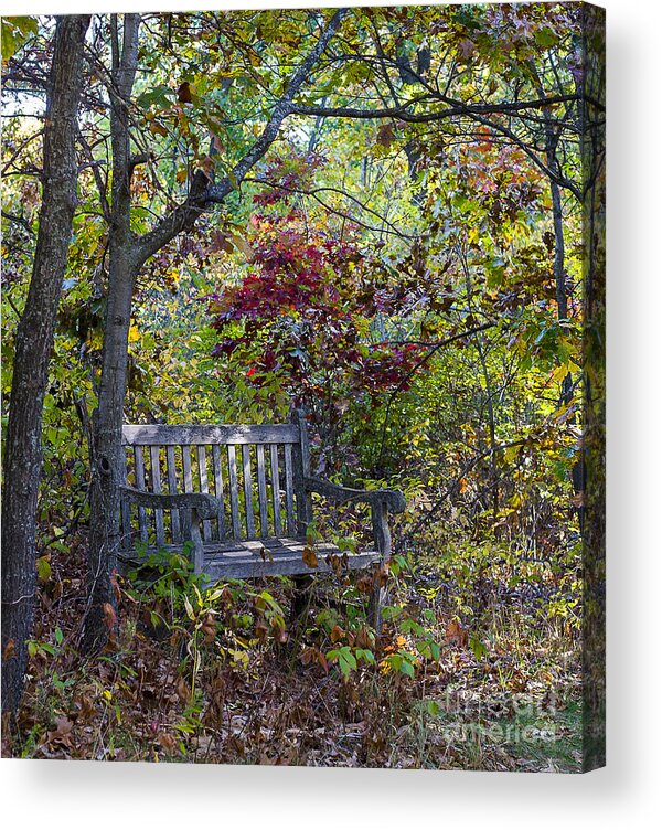 Arboretum Acrylic Print featuring the photograph Arboretum bench by Steven Ralser