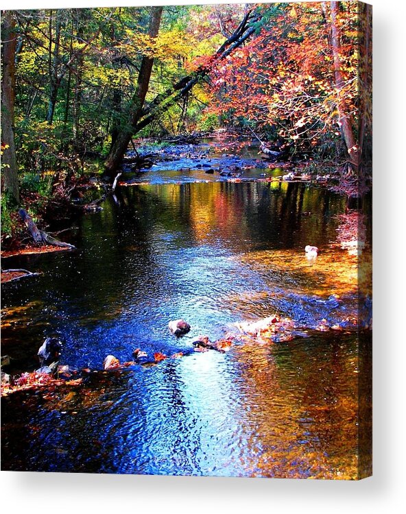 Creek Acrylic Print featuring the photograph Caledonia In Autumn by Angela Davies