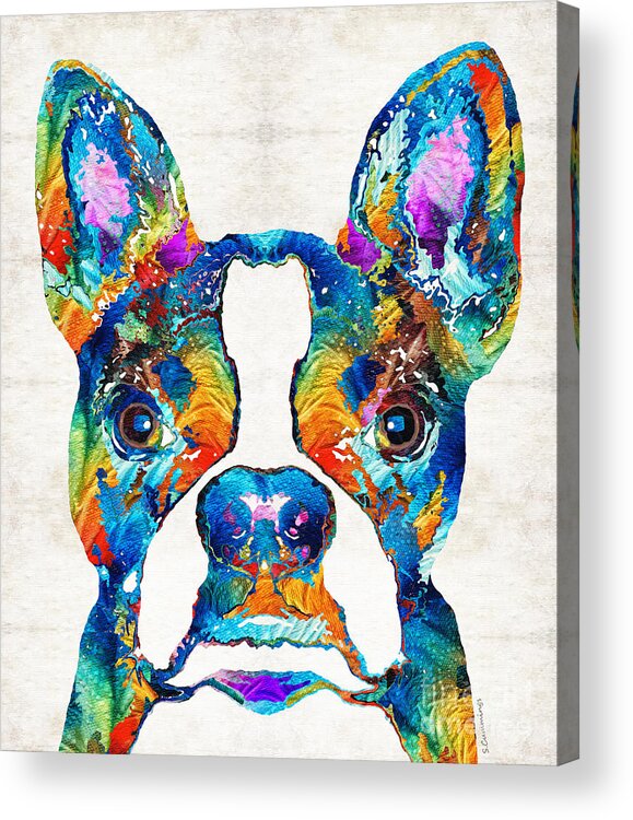 Boston Terrier Acrylic Print featuring the painting Colorful Boston Terrier Dog Pop Art - Sharon Cummings by Sharon Cummings