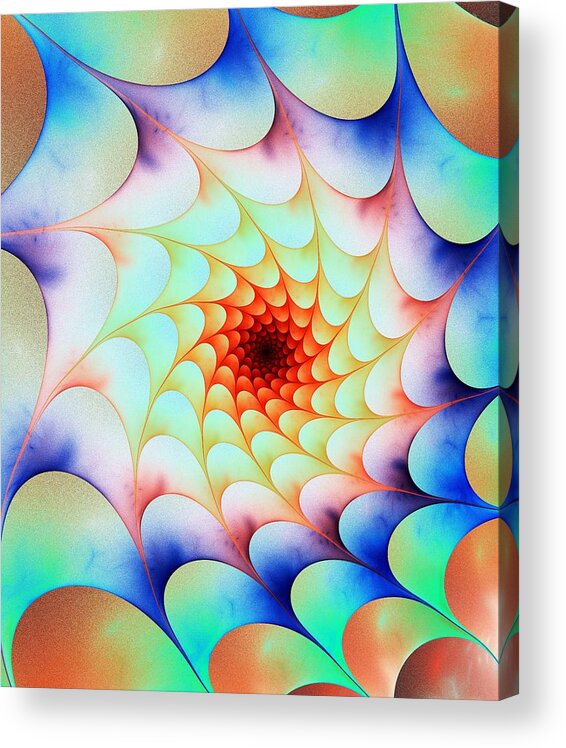 Color Acrylic Print featuring the digital art Colorful Web by Anastasiya Malakhova