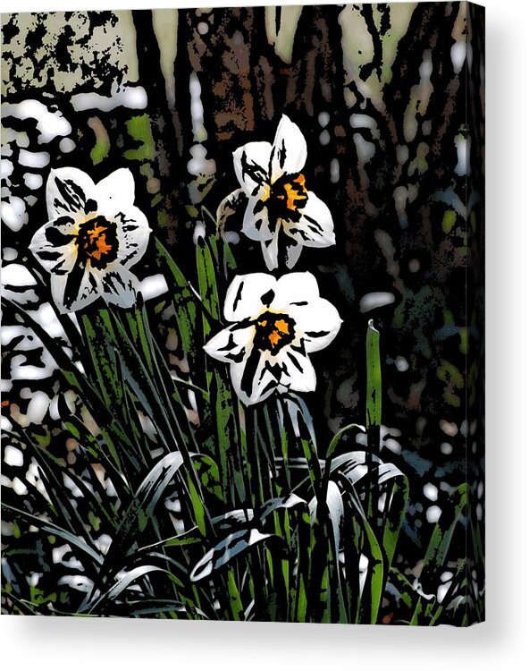 Fine Art Acrylic Print featuring the digital art Daffodil by David Lane