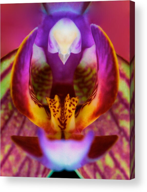 Orchid Flower Acrylic Print featuring the photograph Deep Inside The Mouth Of An Orchid by Leslie Crotty