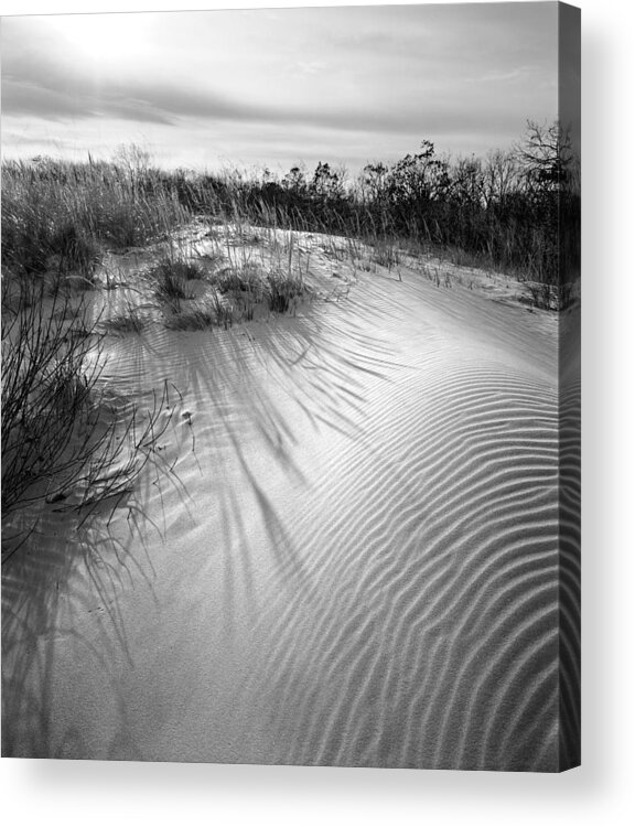 Dune Ripple Acrylic Print featuring the photograph Dune Ripple by Kris Rasmusson