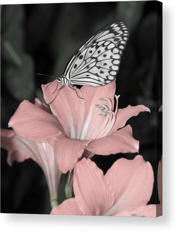 Lily Acrylic Print featuring the photograph Lily with Butterly by Tracy Winter