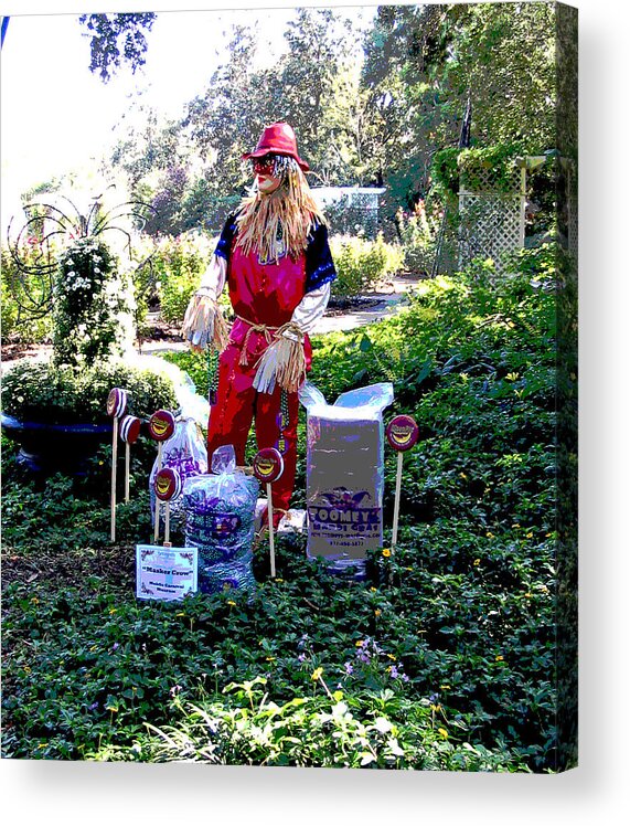 Computer Graphics Acrylic Print featuring the photograph Mardi Gras Scarecrow at Bellingrath Gardens by Marian Bell