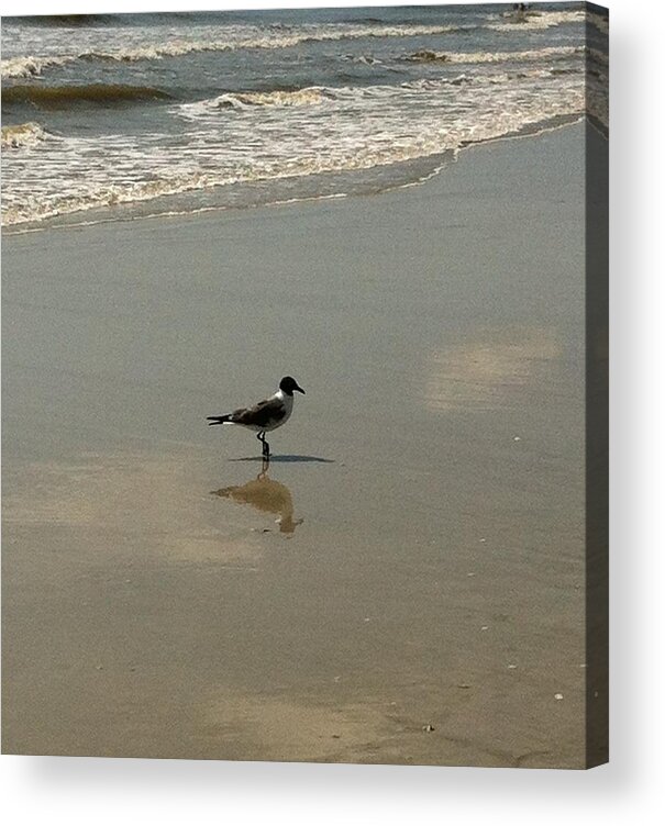 Beach Acrylic Print featuring the photograph Me and My Shadow by Marian Lonzetta