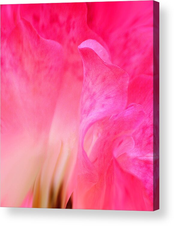 Roses Acrylic Print featuring the photograph Mermaid in Love by The Art Of Marilyn Ridoutt-Greene