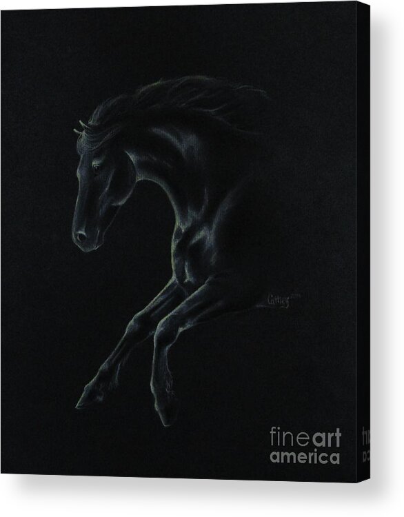 Horse Acrylic Print featuring the drawing Midnight Run by Catherine Howley
