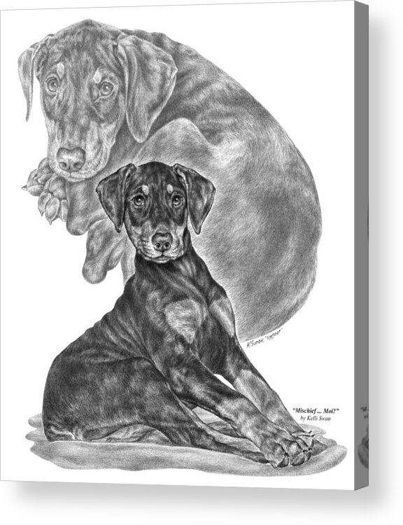 Doberman Acrylic Print featuring the drawing Mischief ... Moi? - Doberman Pinscher Puppy by Kelli Swan