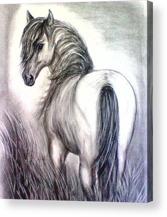 Horse Acrylic Print featuring the drawing Mustang by J L Zarek