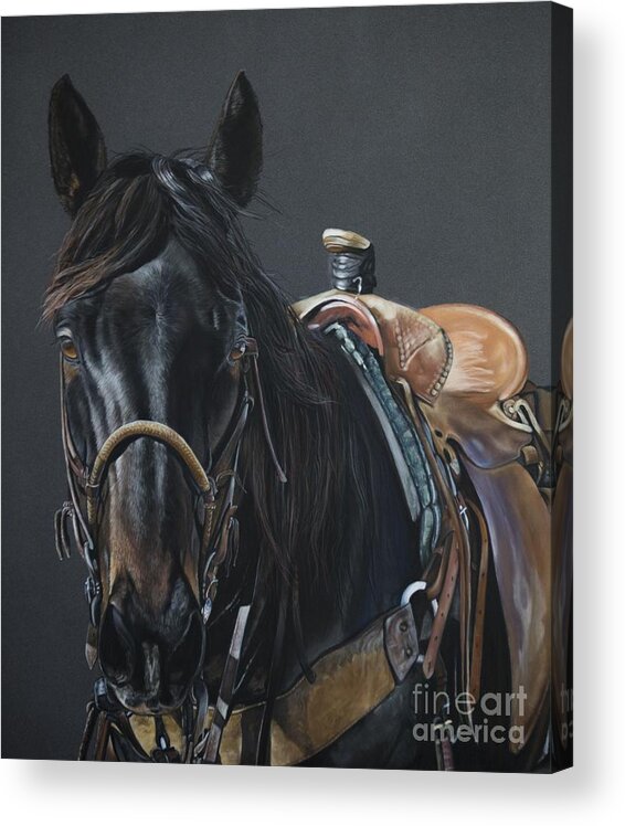 Equine Acrylic Print featuring the pastel New Guy on the Job by Joni Beinborn