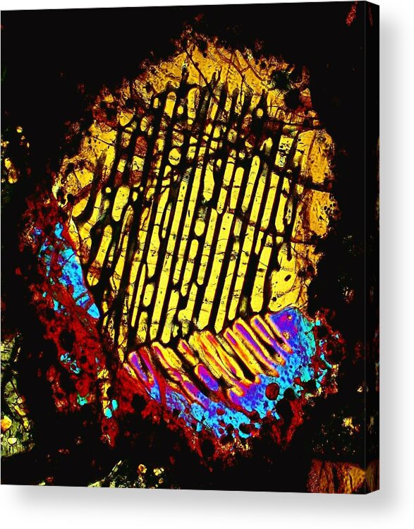 Meteorites Acrylic Print featuring the photograph Neon Fingerprint by Hodges Jeffery