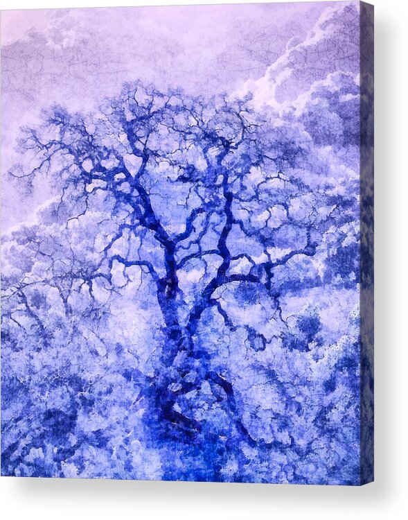 Nature Acrylic Print featuring the digital art Purple Oak Tree Dream by Priya Ghose
