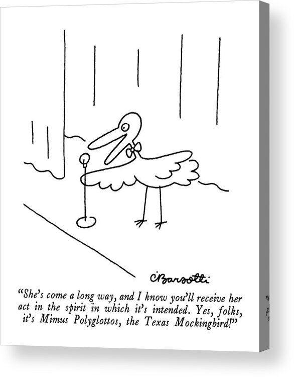 

 Bird Master Of Ceremony Introduces. 
Birds Acrylic Print featuring the drawing She's Come A Long Way by Charles Barsotti