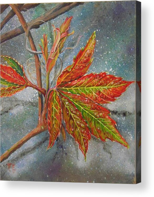 Shenandoah Acrylic Print featuring the painting Spring Virginia Creeper by Nicole Angell