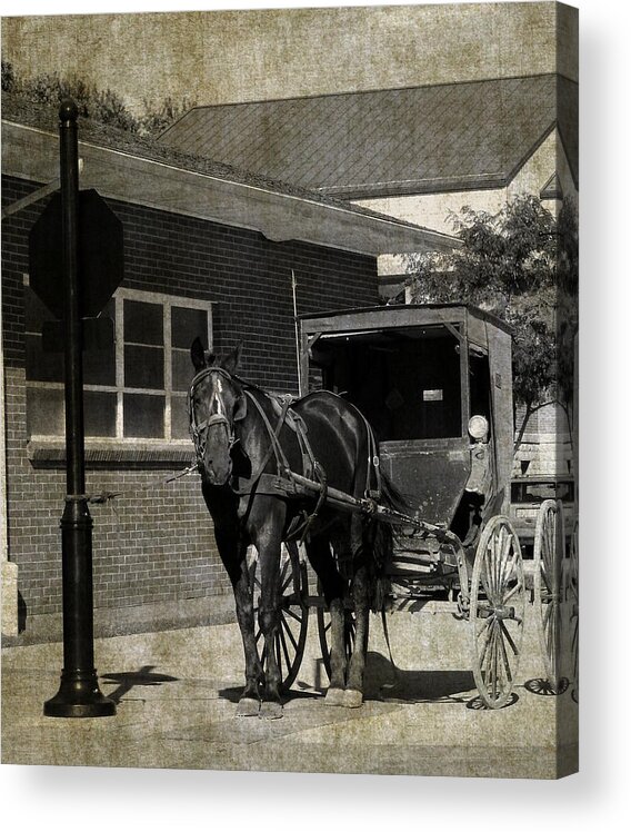 Amish Acrylic Print featuring the photograph Stopped For A Spell in Sepia by Cassie Peters