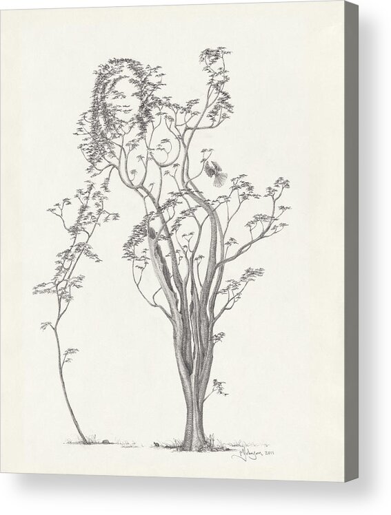Tree Dancer Acrylic Print featuring the drawing The Small Singer by Mark Johnson