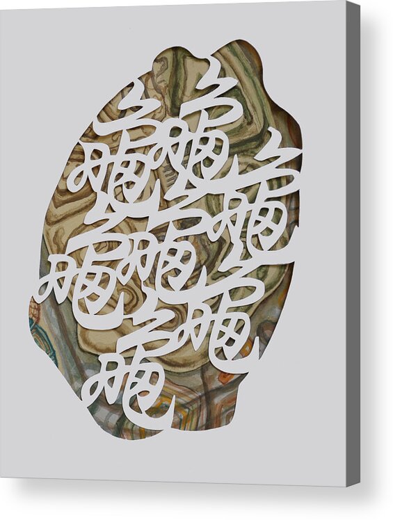 Turtle Acrylic Print featuring the mixed media Turtle Shell's Inscription by Ousama Lazkani