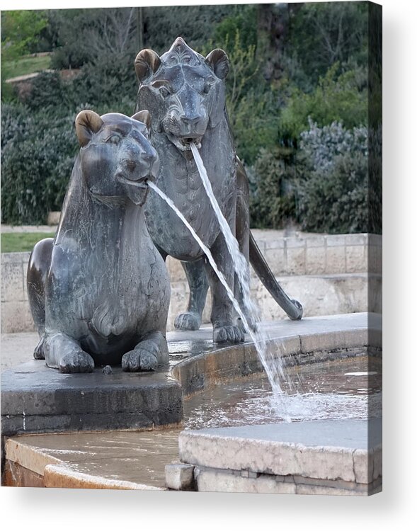Lion Acrylic Print featuring the photograph Two of a pride by Rita Adams