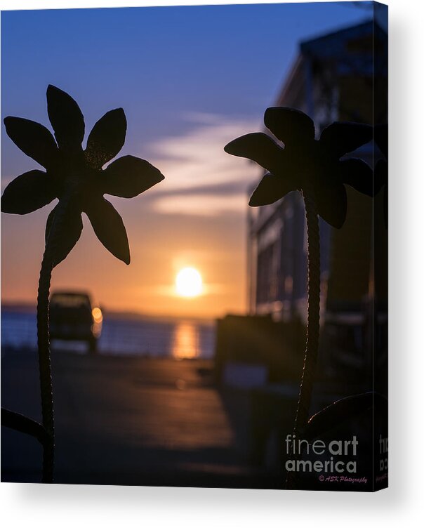 Sunrise Acrylic Print featuring the photograph Up At Sunrise by Amy S Klein
