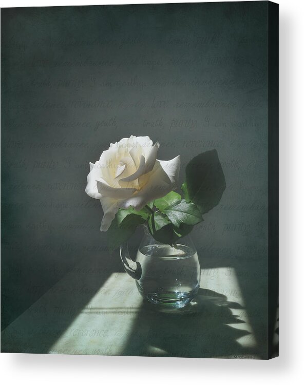 Rose Acrylic Print featuring the photograph White Rose Still Life by Deborah Smith