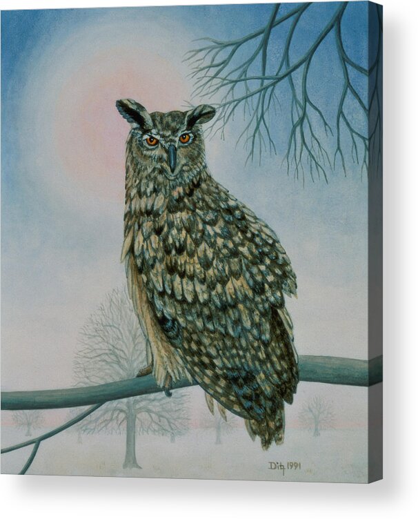 Owl Acrylic Print featuring the painting Winter Owl by Ditz